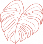 monstera_lines_0007_Layer-2.png